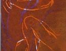 1994 35  bruchstueck eines traums  linoldruck  8 x cm