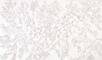 2015 10. hohe tatra.  filzstift auf sperrholz 200 x cm